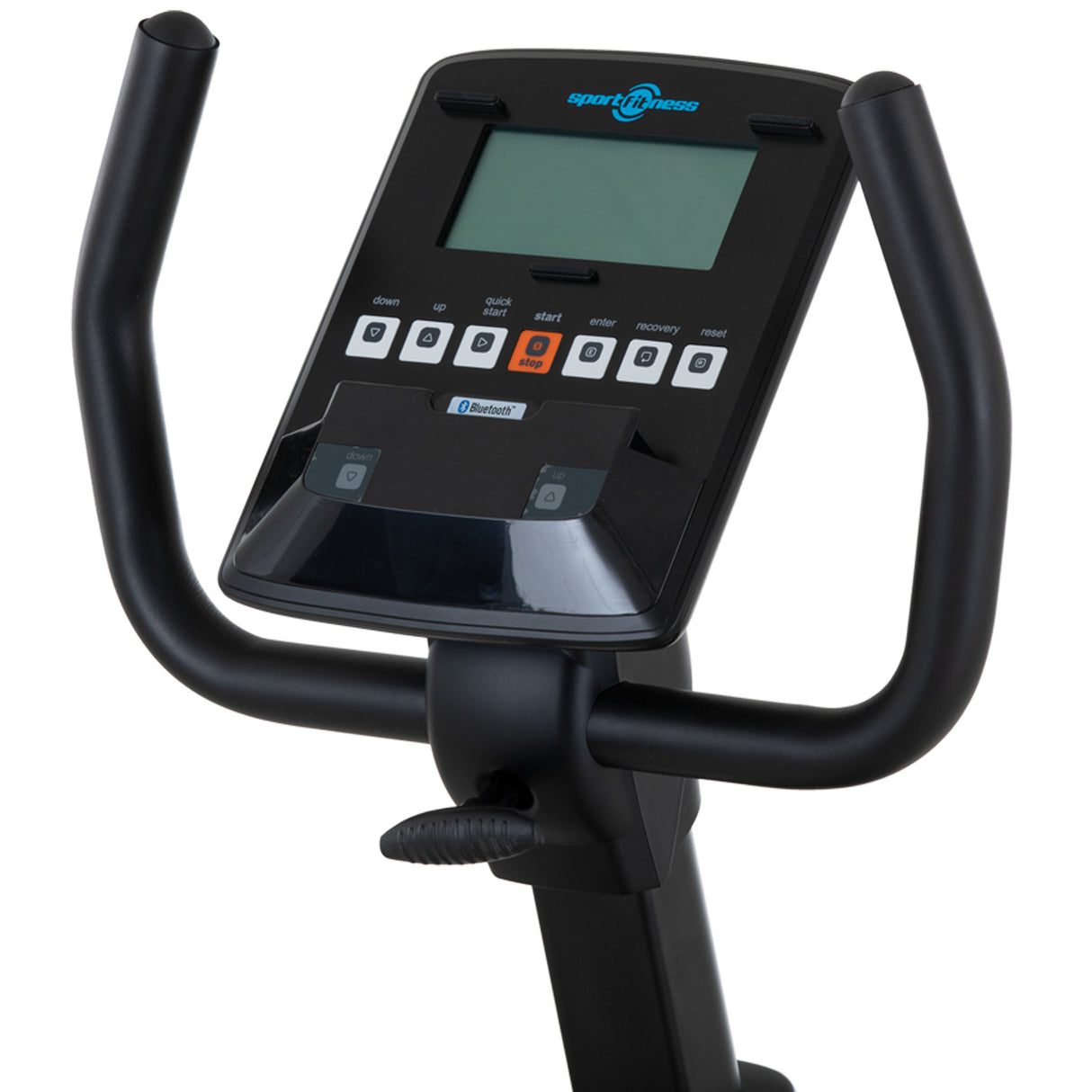 Recumbent Parma-D
