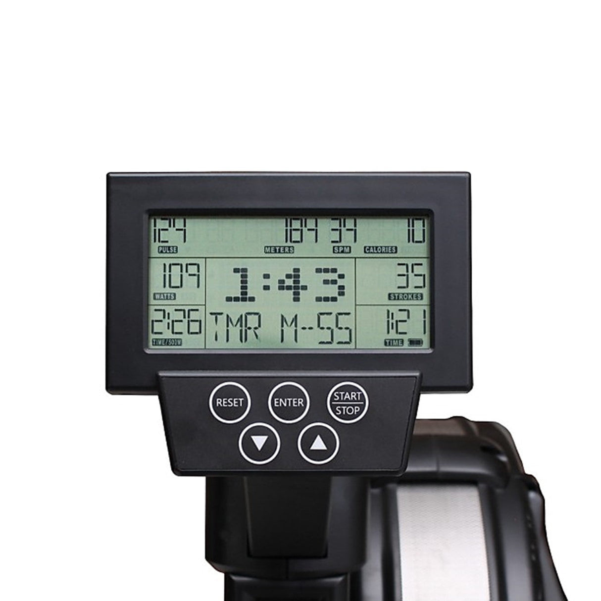 Remo Profesional AR-2 Revolution Xebex