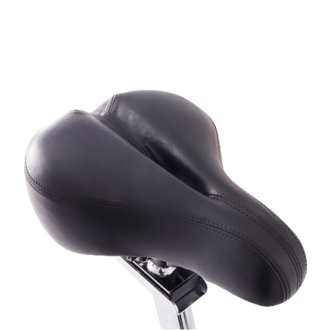 BICICLETA R-GO+