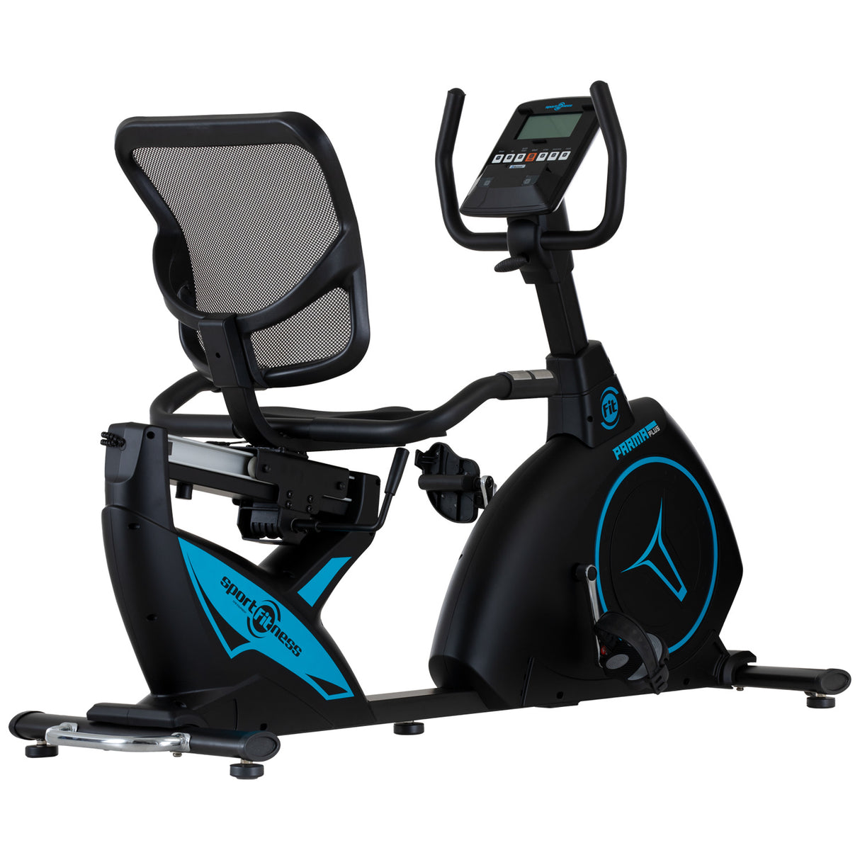 Recumbent Parma-D