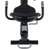 Recumbent Parma-D