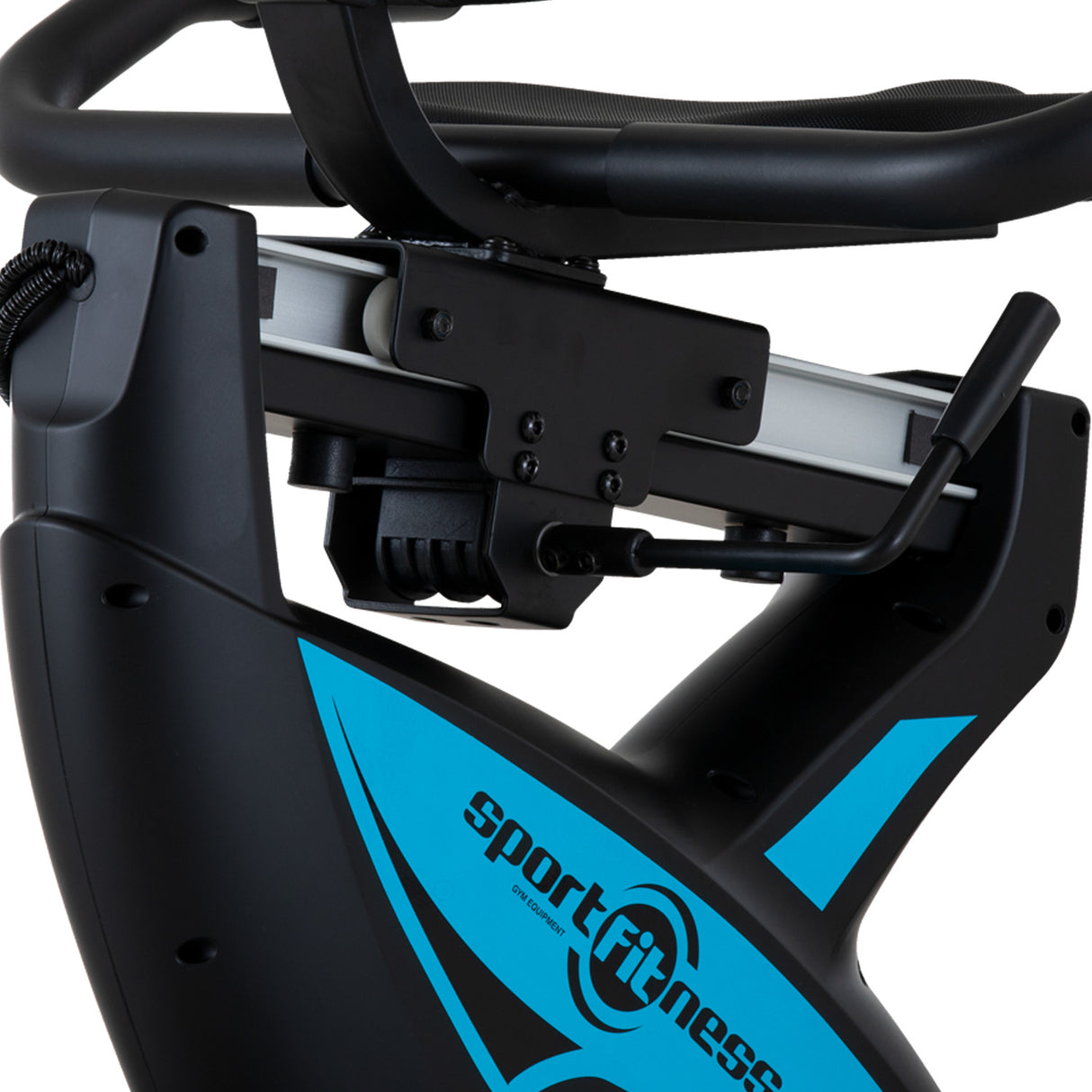 Recumbent Parma-D