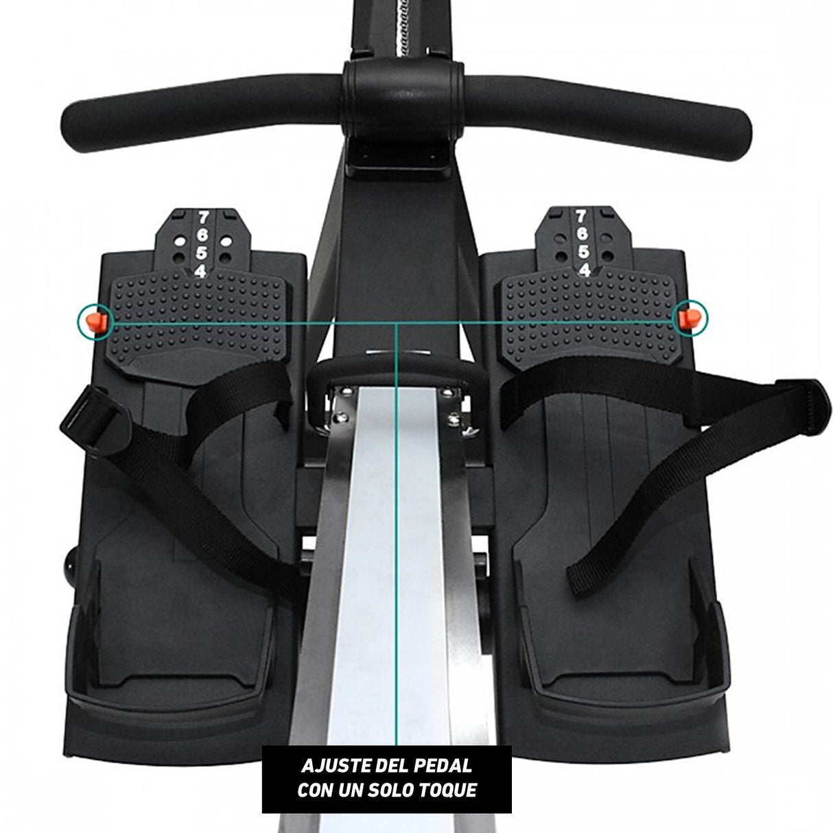 Remo Profesional AR-2 Revolution Xebex