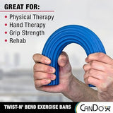 Ejercitador Theraband Flexbar Blue Import Theraband Un X 1