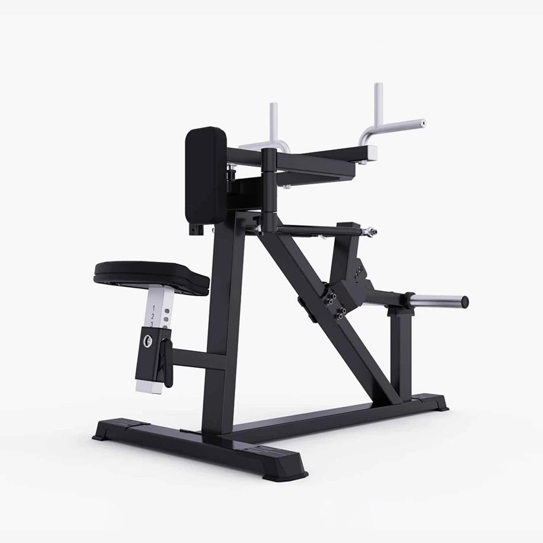 MOV-A618 (A618) VUELOS DE DELTOIDES (SEATED DELTOID FLY) CARGA CON DISCOS PROFESIONAL