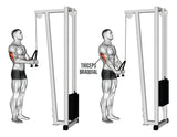 ADAPTACIÓN LAZO TRICEP OK6009