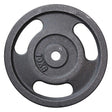 Disco Estandar en Fundicion 1 Pulgada 6 FabriFit Colombia Gimnasios Colombia