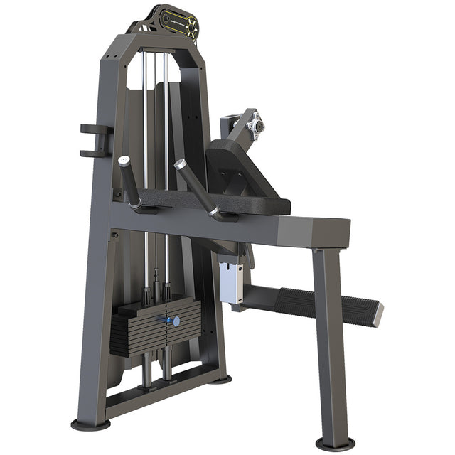 Extension de Gluteo Selectorizada Profesional 1 FabriFit Colombia Gimnasios Colombia
