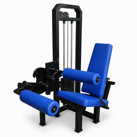 Femoral Sentado Profesional 1 FabriFit Colombia Gimnasios Colombia
