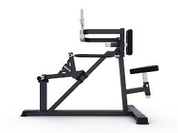 MOV-A618 (A618) VUELOS DE DELTOIDES (SEATED DELTOID FLY) CARGA CON DISCOS PROFESIONAL
