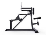 MOV-A618 (A618) VUELOS DE DELTOIDES (SEATED DELTOID FLY) CARGA CON DISCOS PROFESIONAL